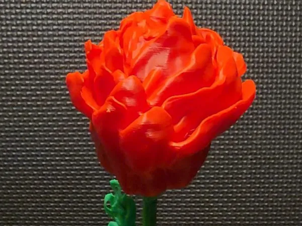 https://makerworld.bblmw.com/makerworld/model/US952451cfee68d9/design/2025-11-17_d7dd032cf57758.jpg