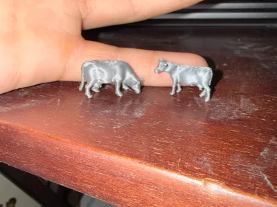 1/64 calves