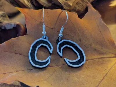 Moon Earrings