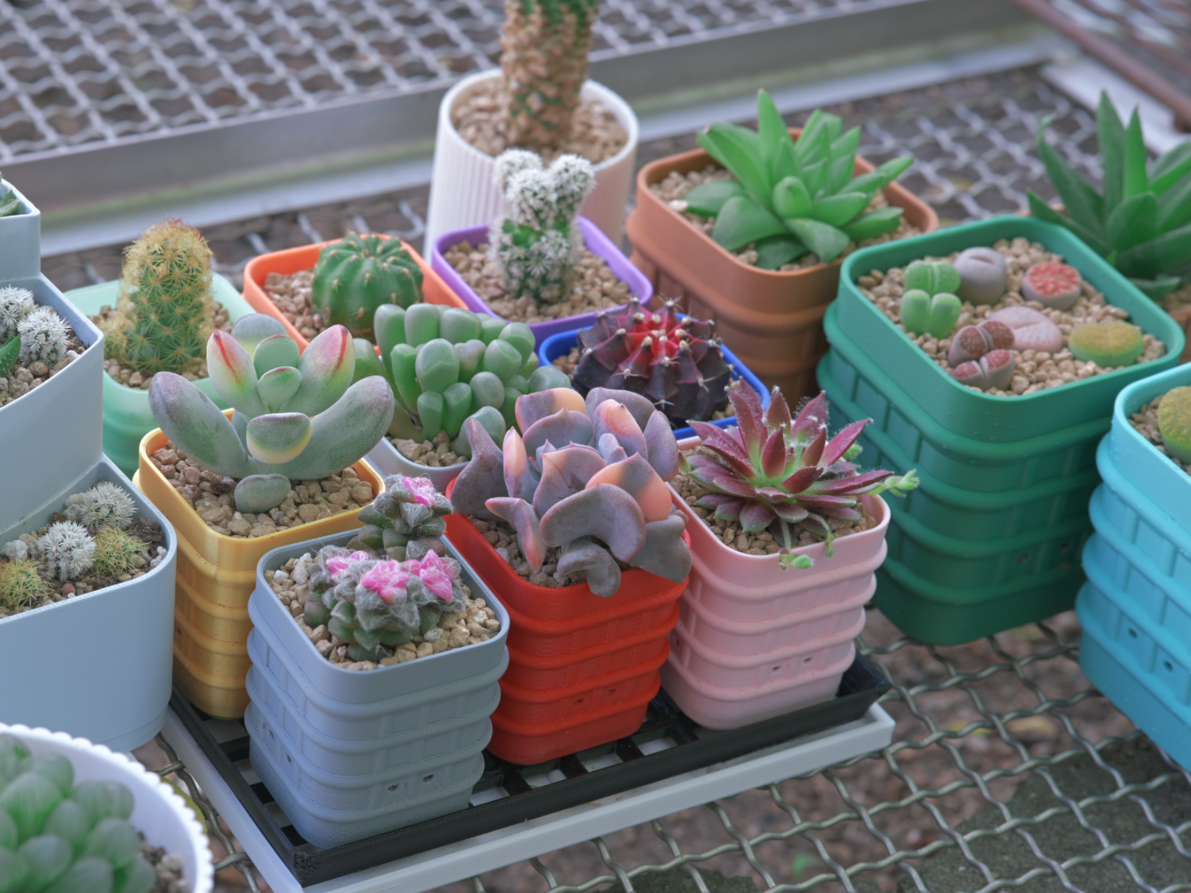 Miniatura 1 do modelo 3D 「多肉花园」系列Vol2：多肉专用 3D 打印花盆套装