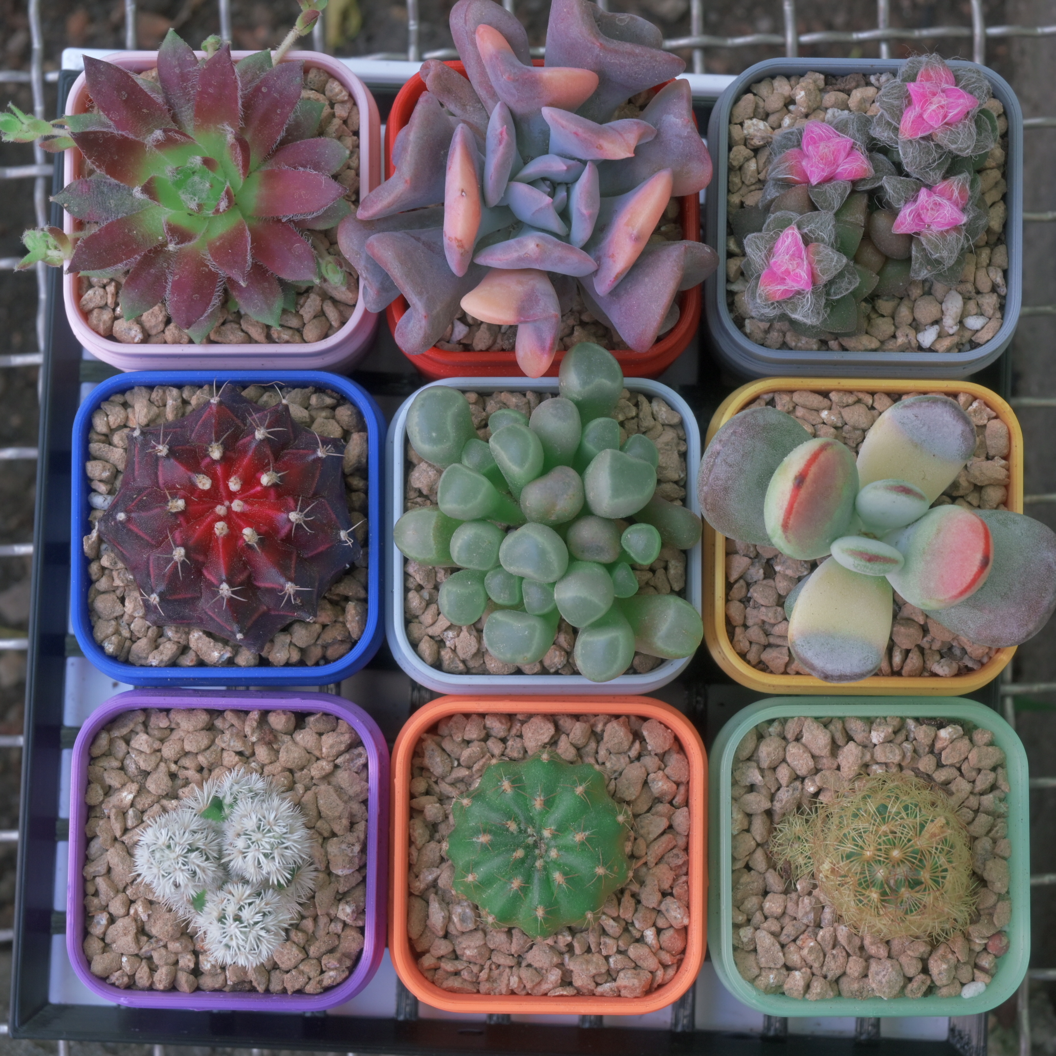 Miniatura 4 do modelo 3D 「多肉花园」系列Vol2：多肉专用 3D 打印花盆套装