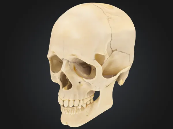 https://makerworld.bblmw.com/makerworld/model/US9535fbbf01079f/design/2025-04-19_4c396057038a7.png