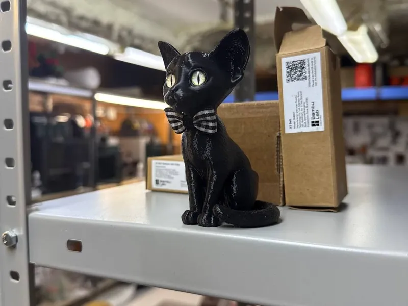 Oriental cat