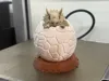 0.08mm layer, 2 walls, 5% infill