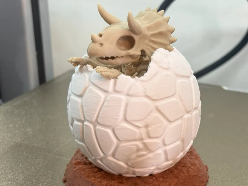 Baby Triceratops Skeleton in Egg & Nest (3 Parts)