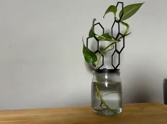 Esagonal Plant Support 