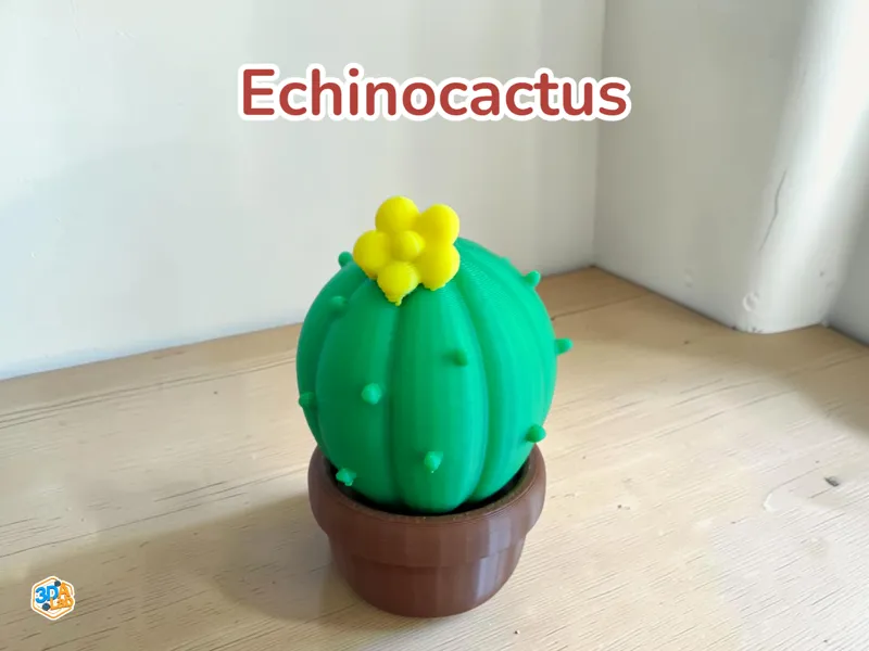Echinocactus
