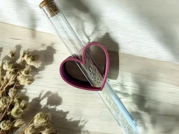 https://makerworld.bblmw.com/makerworld/model/US955060de43b0a7/design/2025-04-12_0a209b63c2bab.jpg