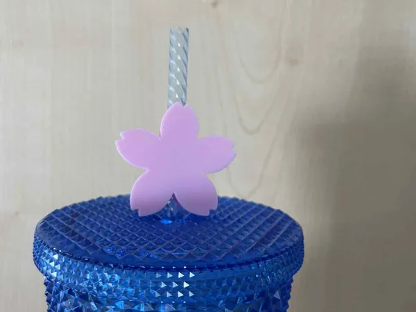 https://makerworld.bblmw.com/makerworld/model/US95518126476a1e/design/2025-06-12_1b2a0ed4b71ae.jpeg