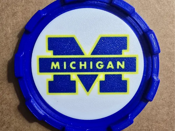 https://makerworld.bblmw.com/makerworld/model/US955dfffeab1edc/design/2025-05-10_cfafd34ac0a18.jpg