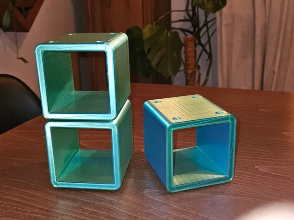 https://makerworld.bblmw.com/makerworld/model/US955e8a0ebd099e/design/2025-01-06_01a9e86c6d0b5.jpg