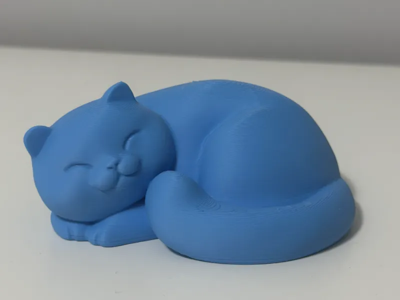 Happy Cat Sleeping