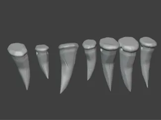 Nidalee Cosplay Necklace & Waist Teeth Kit