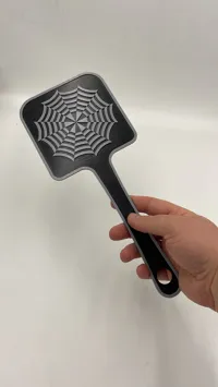 Web