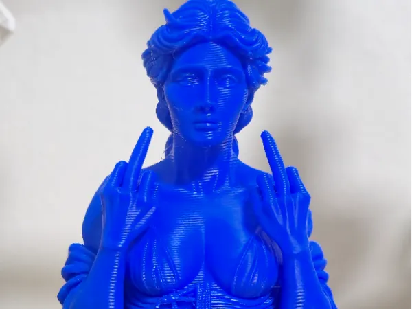 https://makerworld.bblmw.com/makerworld/model/US95651842500e70/design/2025-11-03_1bf2c88136cc18.jpg