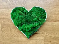 Cœur en mousse verte — photo 2