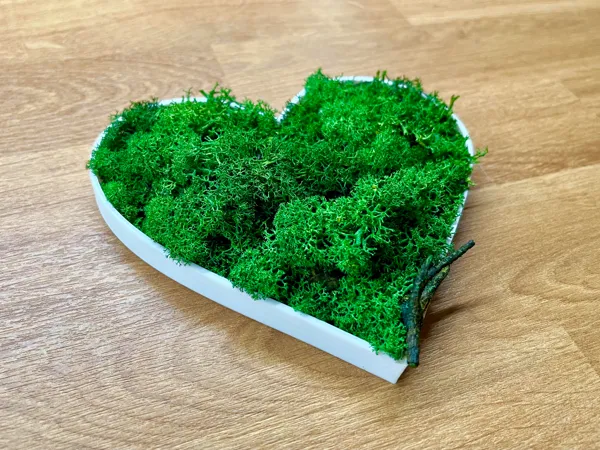 Cœur en mousse verte