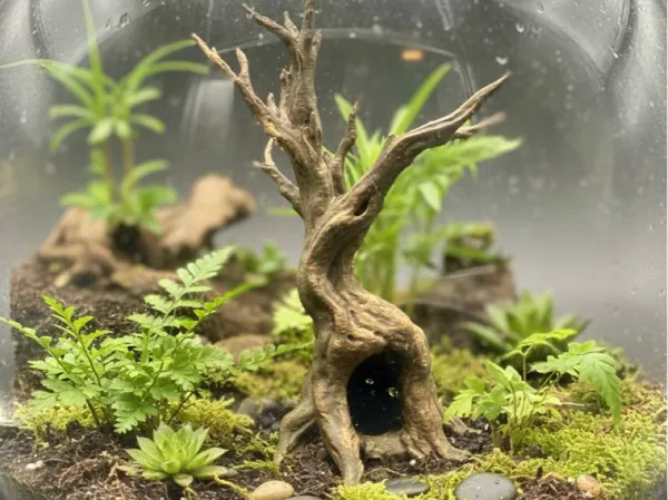 https://makerworld.bblmw.com/makerworld/model/US956c8eac9bd539/design/2025-12-17_702479114604c8.jpg