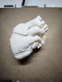 0.16mm layer, 3/4 walls, 15% infill