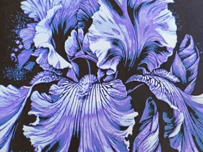 Purple Iris Hueforge