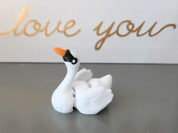 https://makerworld.bblmw.com/makerworld/model/US95727753e6239b/design/2025-02-21_84d1b1336fc91.jpg