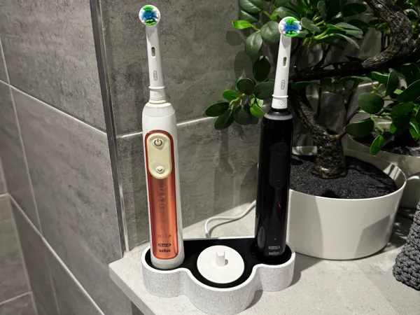 https://makerworld.bblmw.com/makerworld/model/US9572e04d6a4314/design/2025-01-31_fe4675d4536c.png