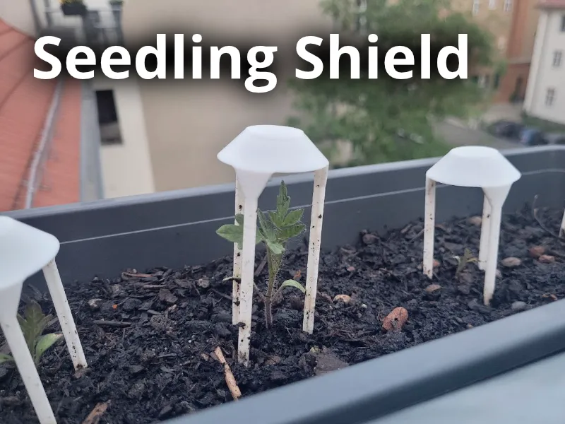 Seedling Shield - Raincover for small Plant