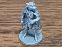 0.08mm layer, 2 walls, 15% infill
