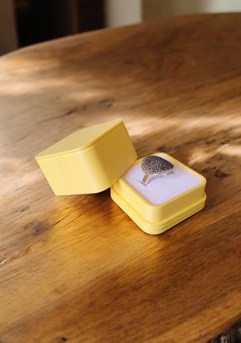 Ecrin à bijoux