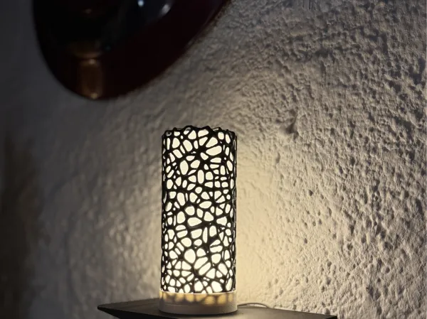 https://makerworld.bblmw.com/makerworld/model/US9577daeac1424f/design/2025-03-05_8410760b6dc42.jpg