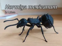 Modèle imaginaire de fourmi Hormiga mexicanum — photo 2