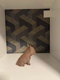 Figurine bouledogue français — photo 3