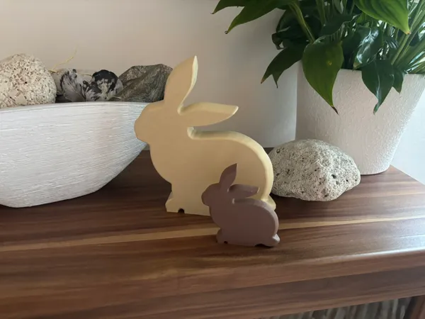 https://makerworld.bblmw.com/makerworld/model/US9584fc93a2d118/design/2025-03-06_7a74c956f9763.jpeg