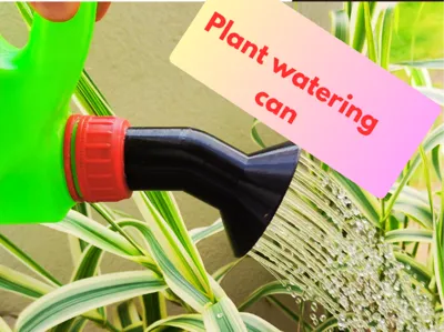 Plant shower, make a watering can from a jug
