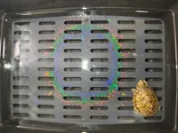 0.2mm 层高, 2 层墙, 100% 填充