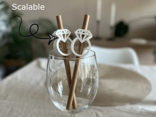 https://makerworld.bblmw.com/makerworld/model/US95895e3138c2cd/design/de2cc3a6b39707a7.jpeg