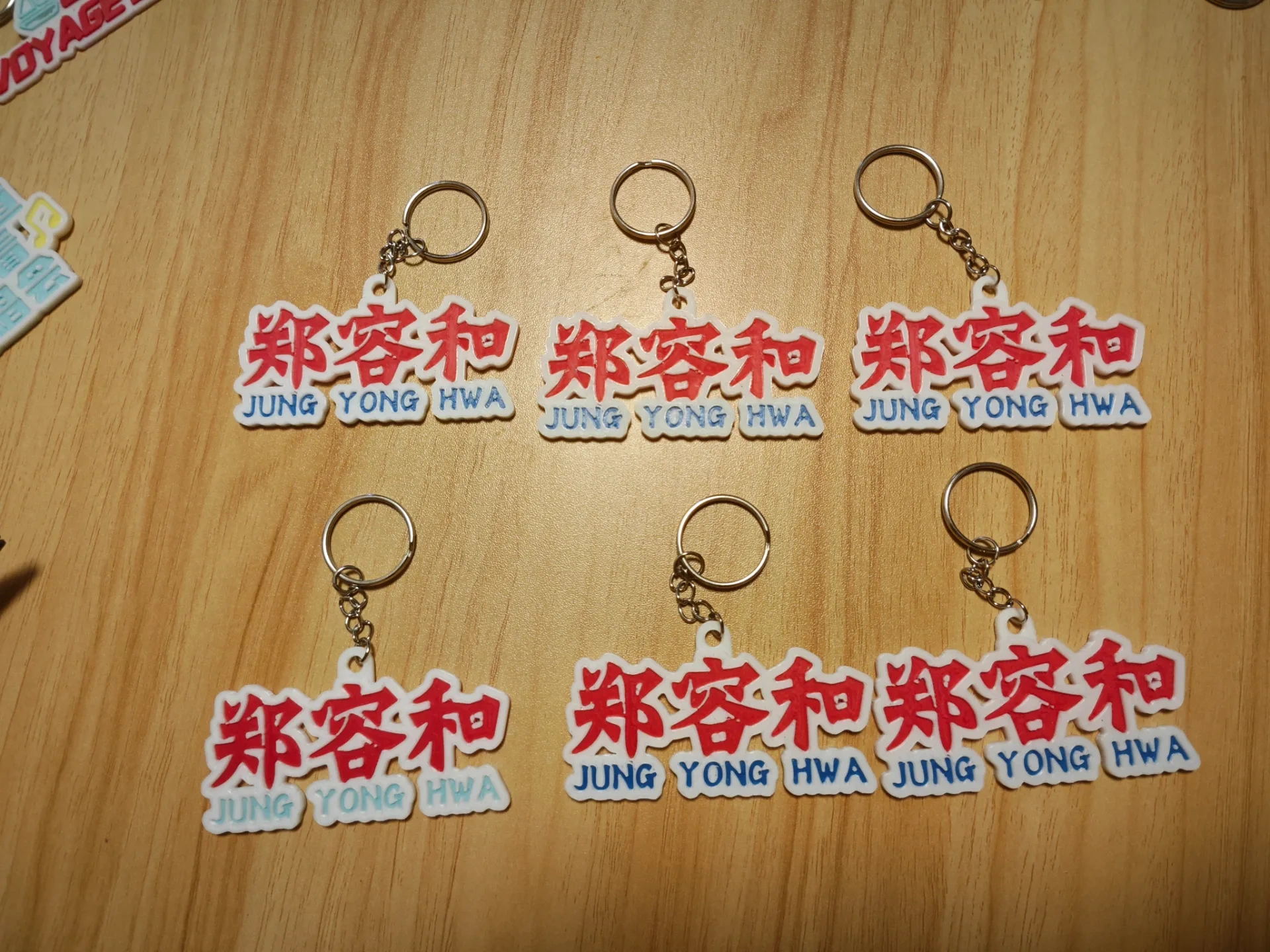 Jung Yong-hwa CNBLUE 2024 Concert Keychain Fridge Magnet voyage