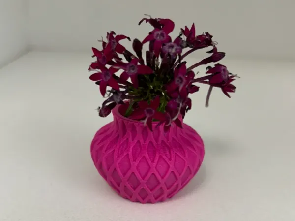 https://makerworld.bblmw.com/makerworld/model/US958fbe27e6e6b3/design/2025-05-10_8672c53ab0cee.jpg