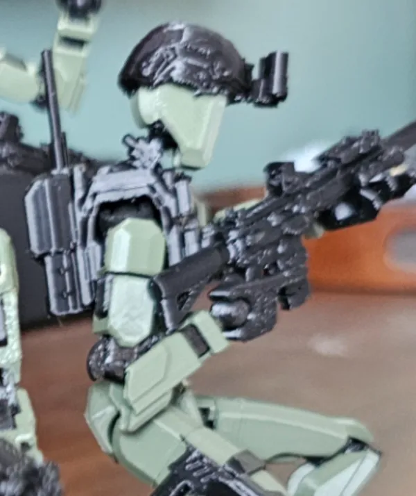 https://makerworld.bblmw.com/makerworld/model/US958ffeeb64f3bb/design/2025-01-14_1464a59f1aeaf.jpg