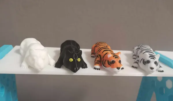 https://makerworld.bblmw.com/makerworld/model/US959554b70d517e/design/2024-10-11_40efa28573466.jpg