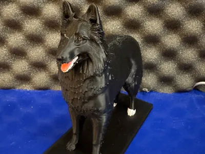 Tervueren Belgian Shepherd 