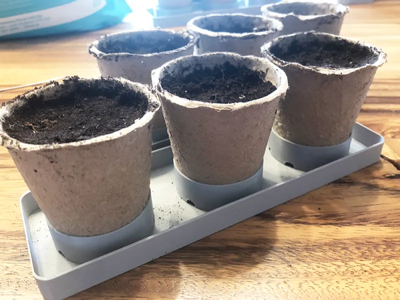 Cardboard Seed Starter Pot Planter