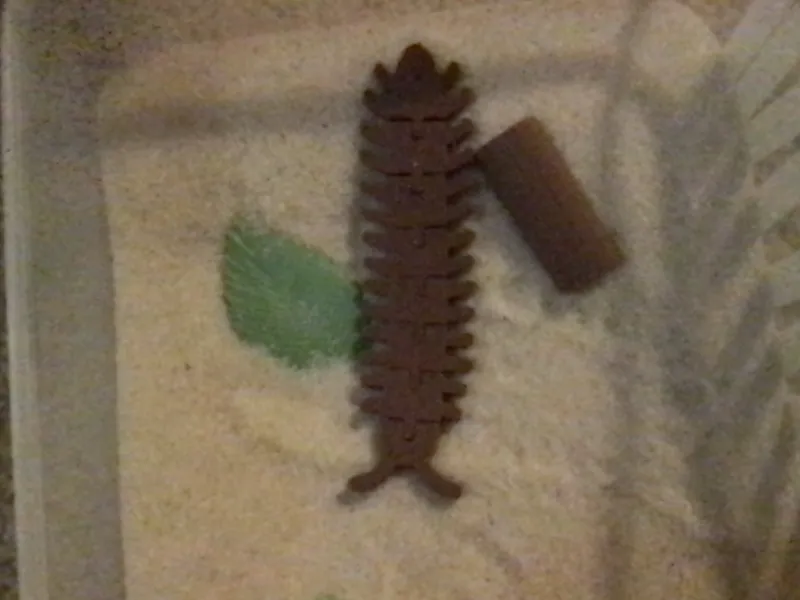 Milly the Millipede