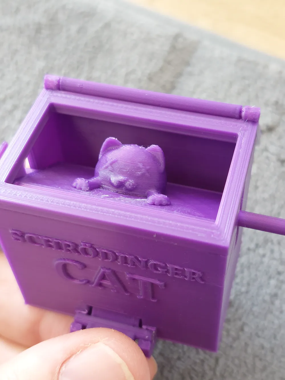 schrodinger-s-cat-by-pandart3d-makerworld