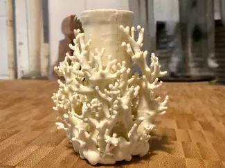 coral reef vase