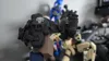 250% Size, Binocular NVG, Color AMS Version