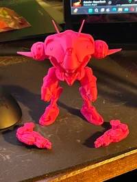 Mécha D.Va — photo 1