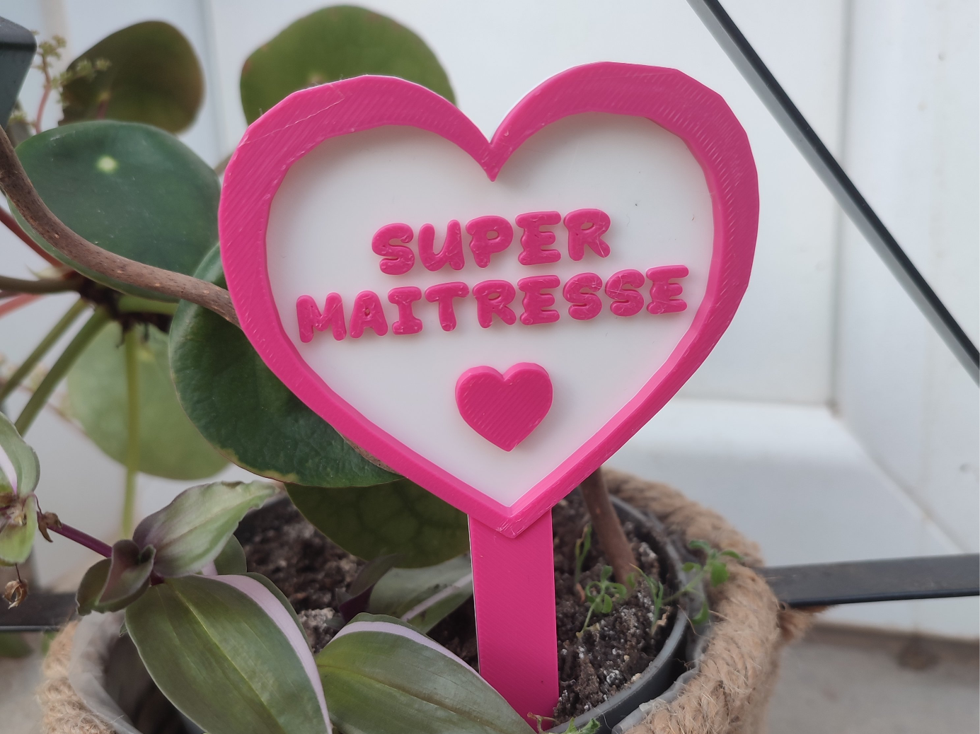 Piquet plante Super maitresse