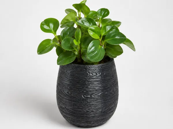 https://makerworld.bblmw.com/makerworld/model/US95b77bc8027247/design/36a268d4e3e4165b.png