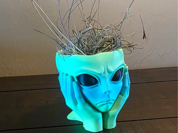 https://makerworld.bblmw.com/makerworld/model/US95b77d8061d0ef/design/5dfa121eba332cd7.jpg